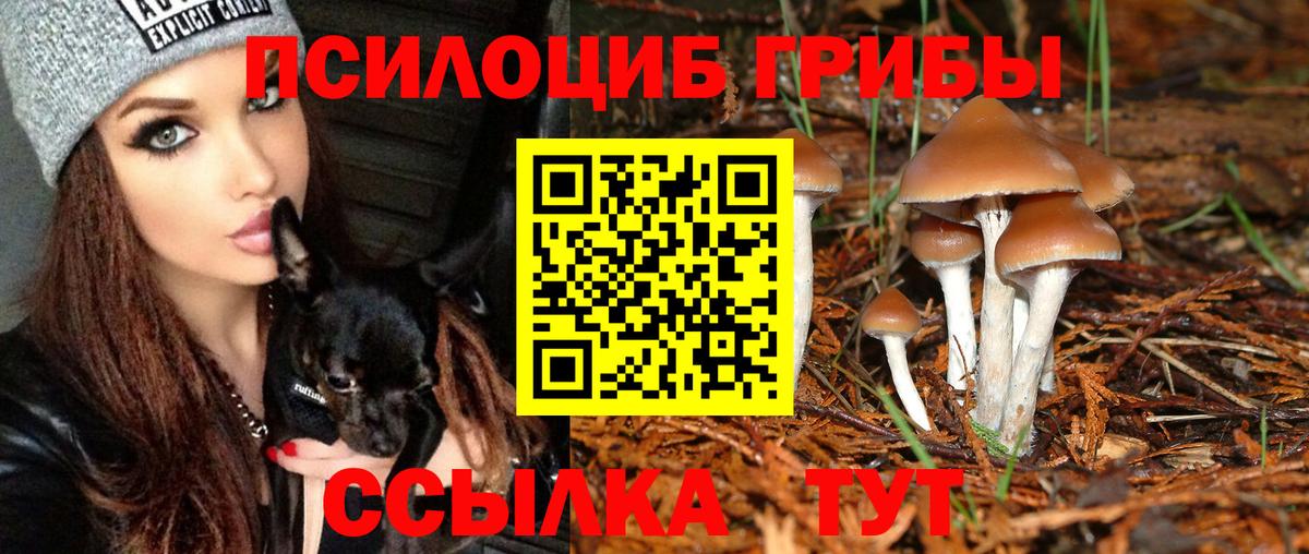 Шахты  Псилоцибиновые грибы Cubensis  Галлюциногенные грибы Cubensis  Вход с VPN 