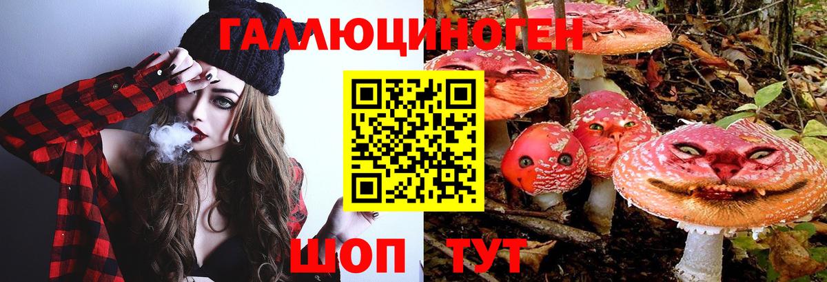 Галлюциногенные грибы GOLDEN TEACHER Шахты